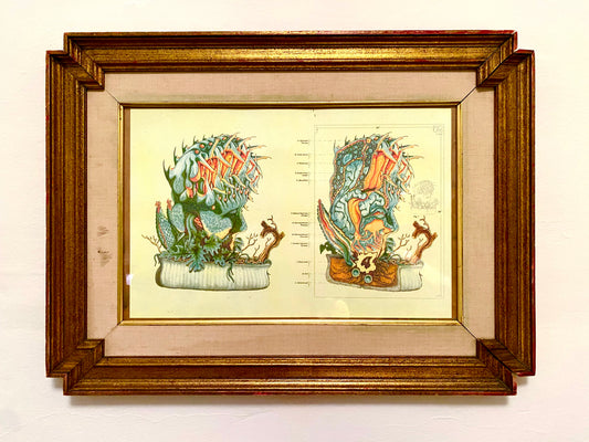 Carnivorous Plant Risograph Print