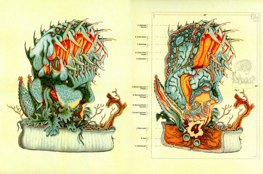 Carnivorous Plant Risograph Print